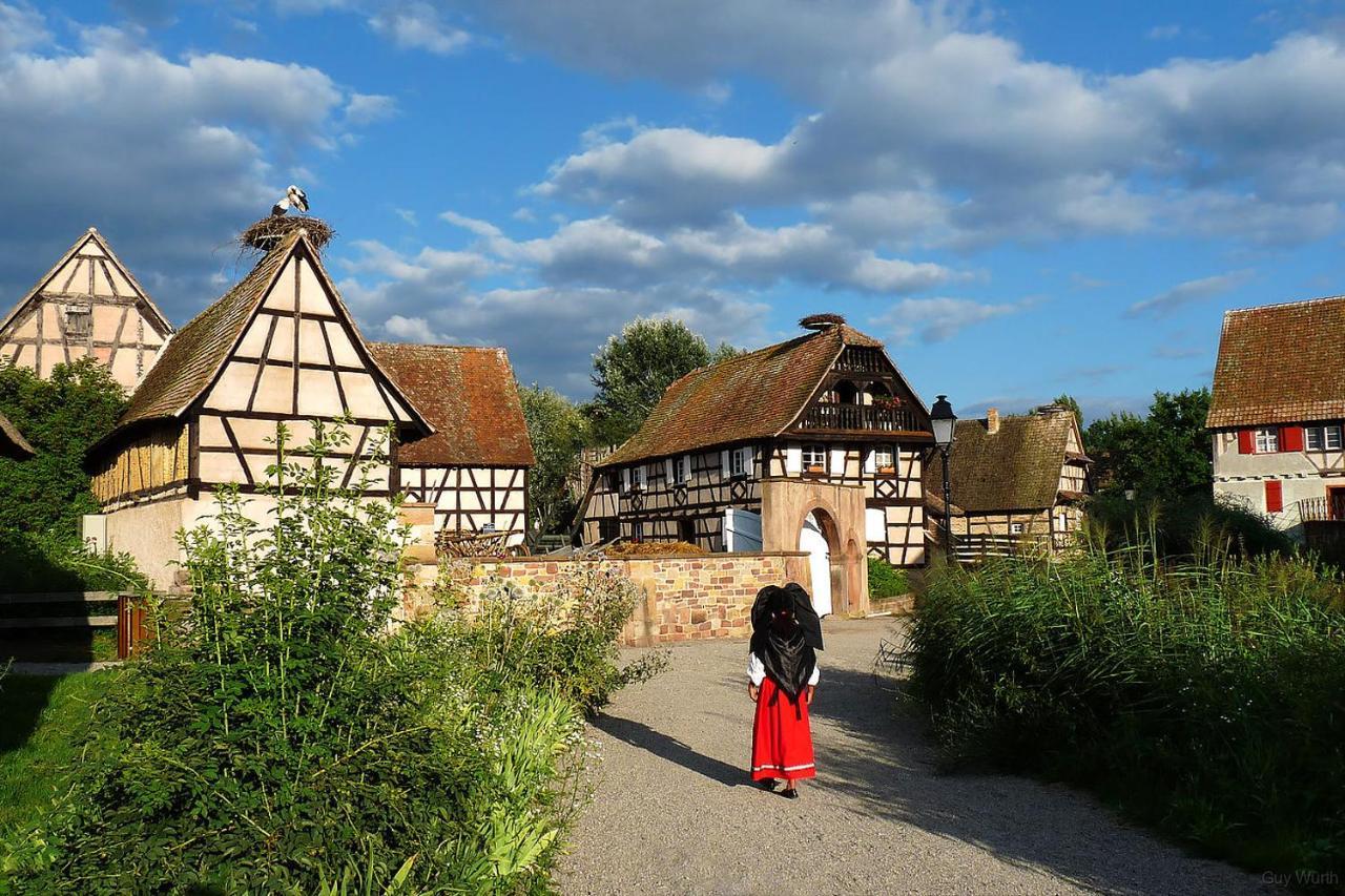 Appartamento Chez Christian Breitenbach-Haut-Rhin Esterno foto