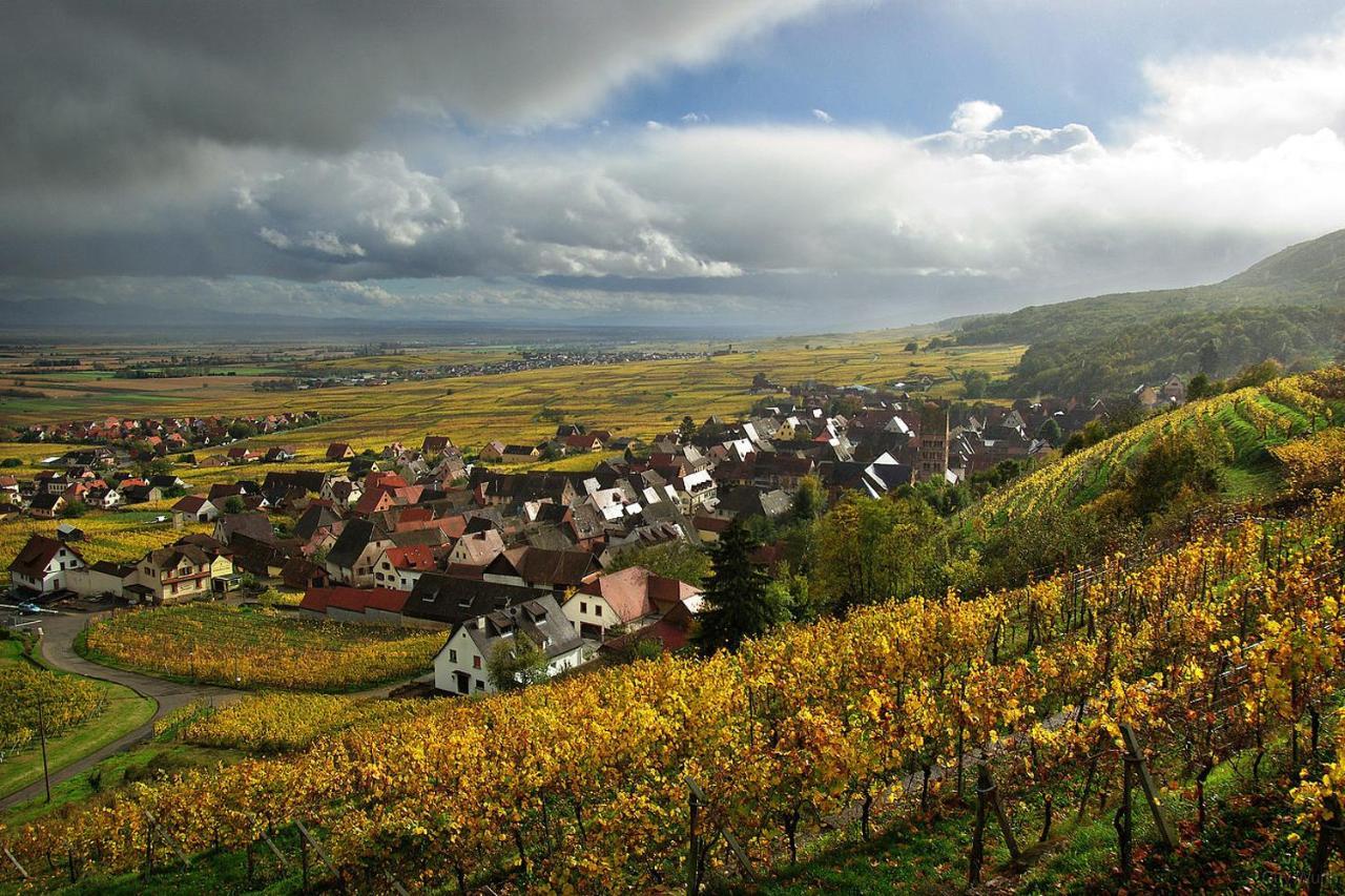Appartamento Chez Christian Breitenbach-Haut-Rhin Esterno foto